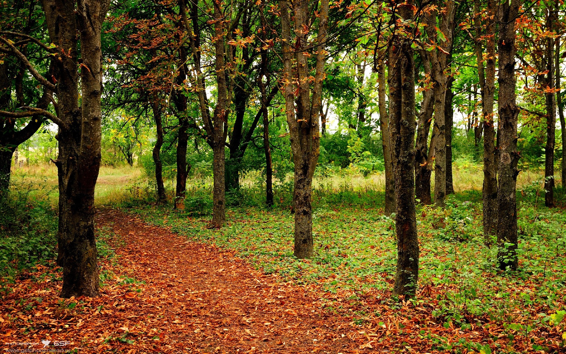 开云中国大陆-《掘金替补席贡献有限，球队深度成疑》，掘金队薪资和选秀权情况