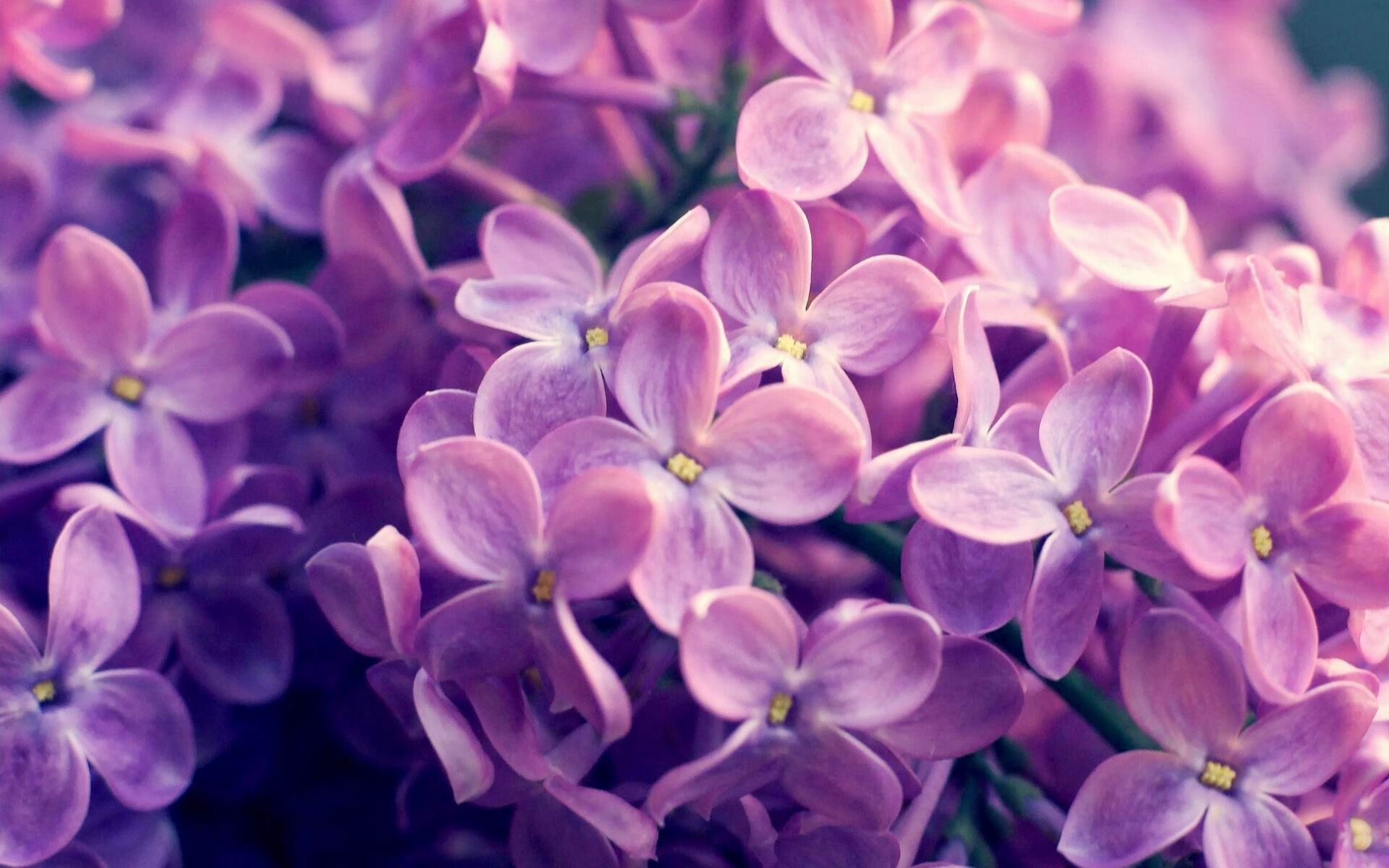 开云·体育官网APP下载-勒布朗·詹姆斯成为NBA历史上第一位突破4万分大关的球员。，勒布朗詹姆斯历史得分榜