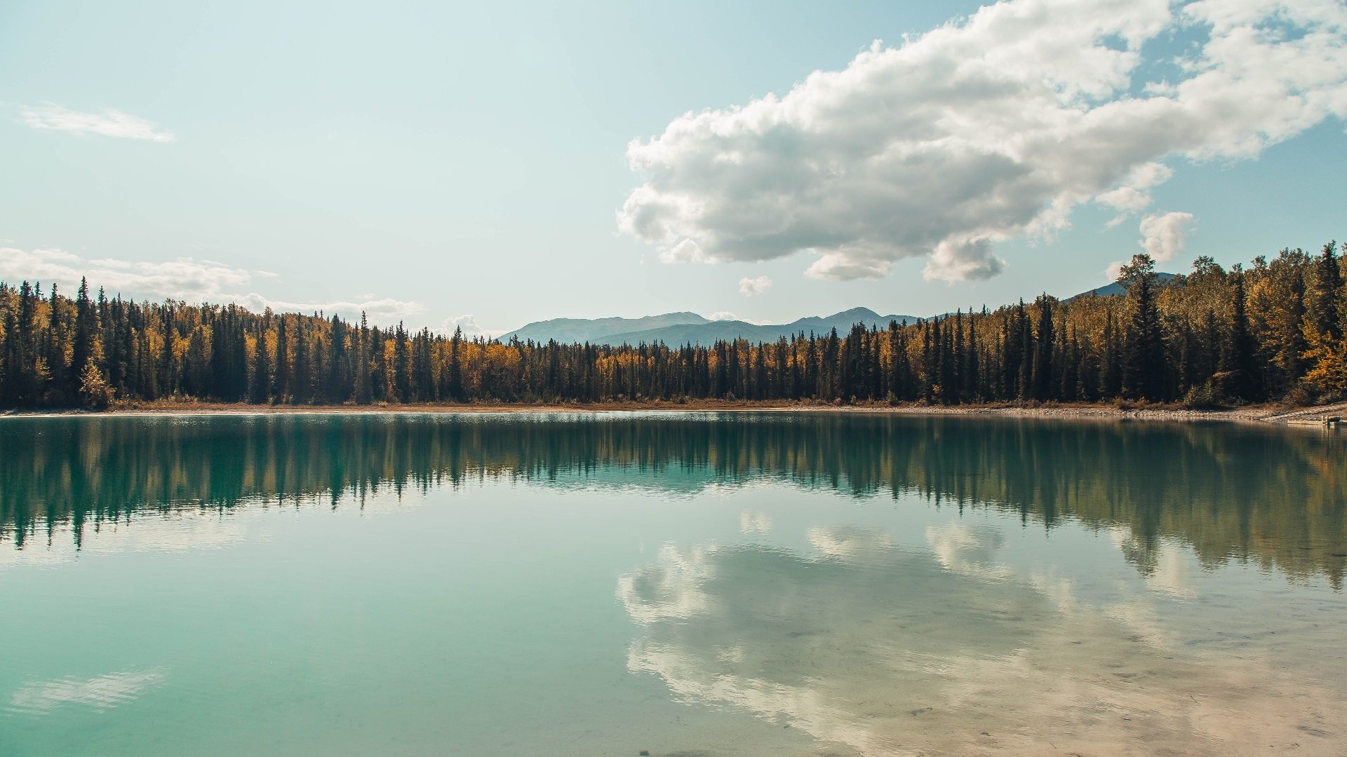 国家篮球联盟治理结构优化，国家篮球联合会