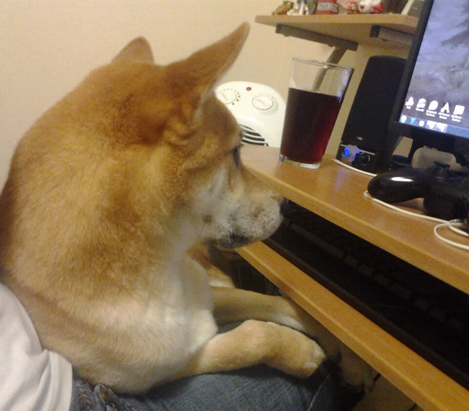 kaiyun开云·官方网站-尤文图斯客场大胜国际米兰，连胜获得关键三分实力强劲，尤文图斯和国际米兰比赛