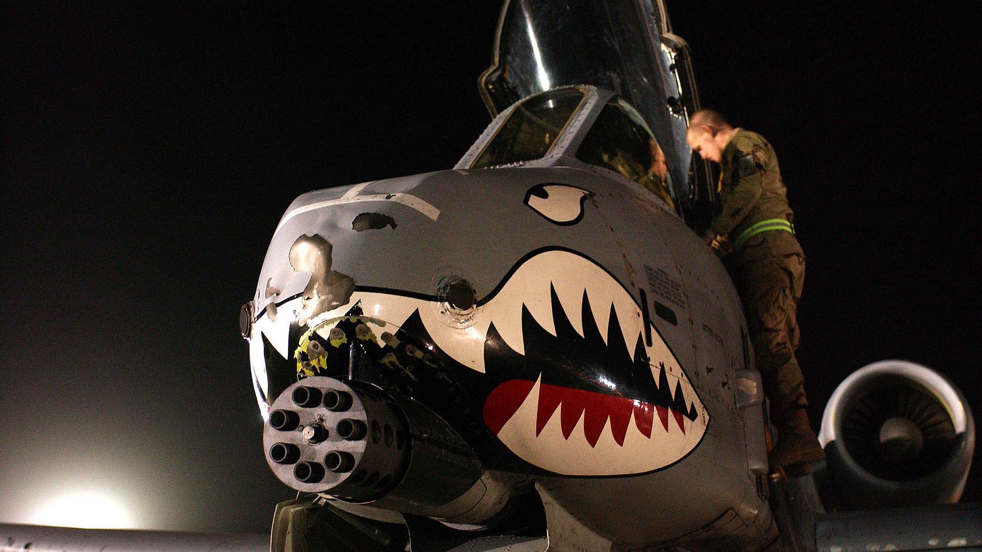 悉尼国王新赛季开局强势，悉尼国王队名单