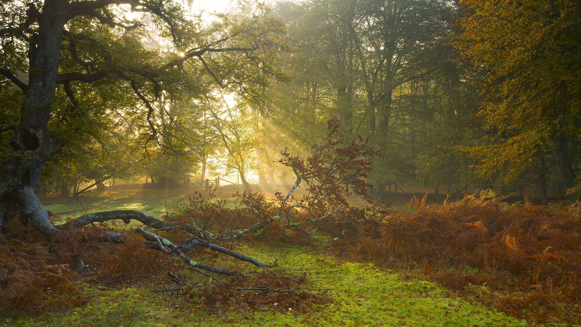 Kaiyun官方登录入口-篮网三分高效杜兰特轻松砍分，三巨头携手!篮网官方发推_杜兰特队 篮网世界