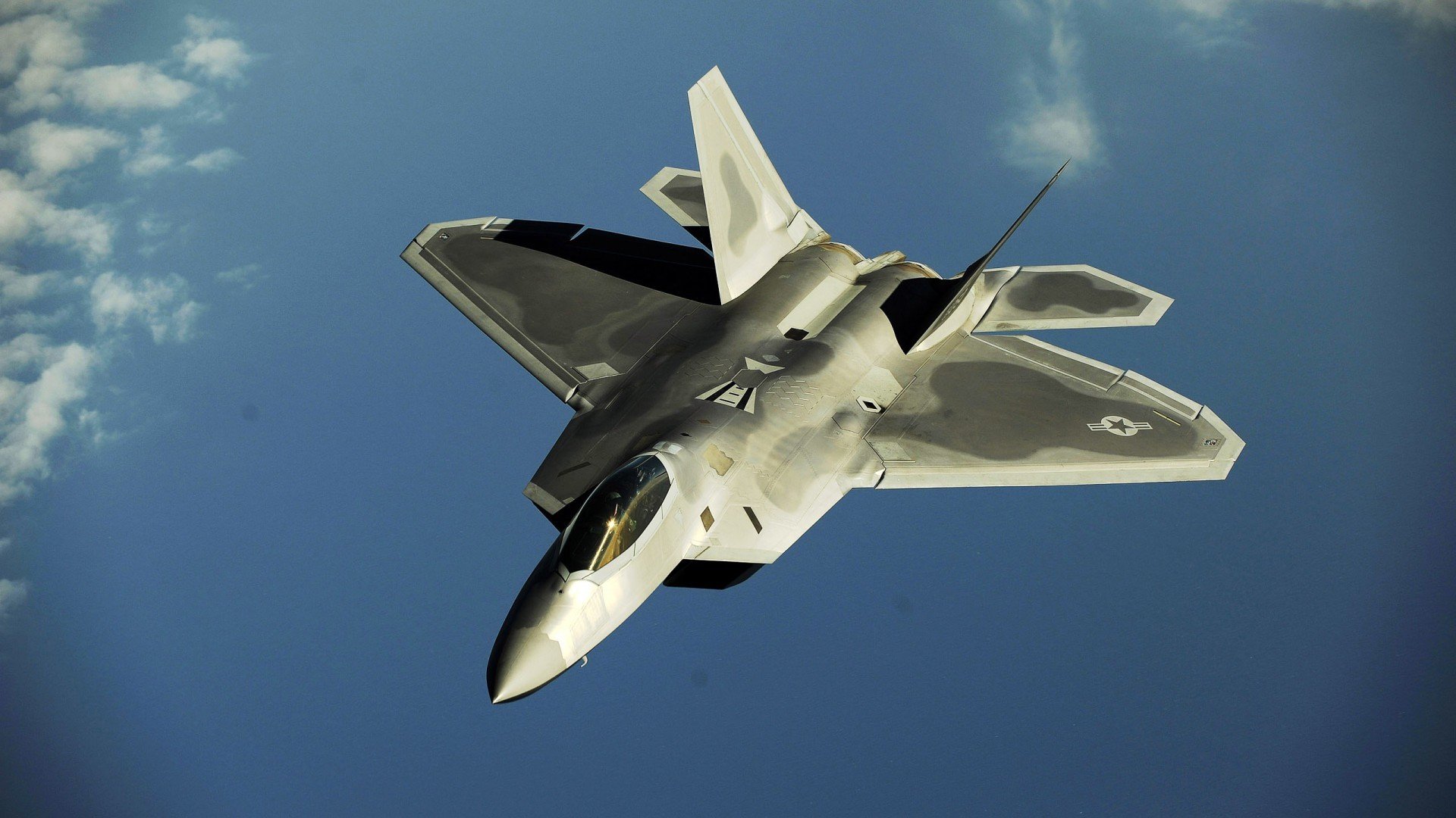 开云·体育官网APP下载-维达德卡萨布兰卡主场气氛堪比欧洲豪门，球迷热情高涨，卡萨布兰卡 kid