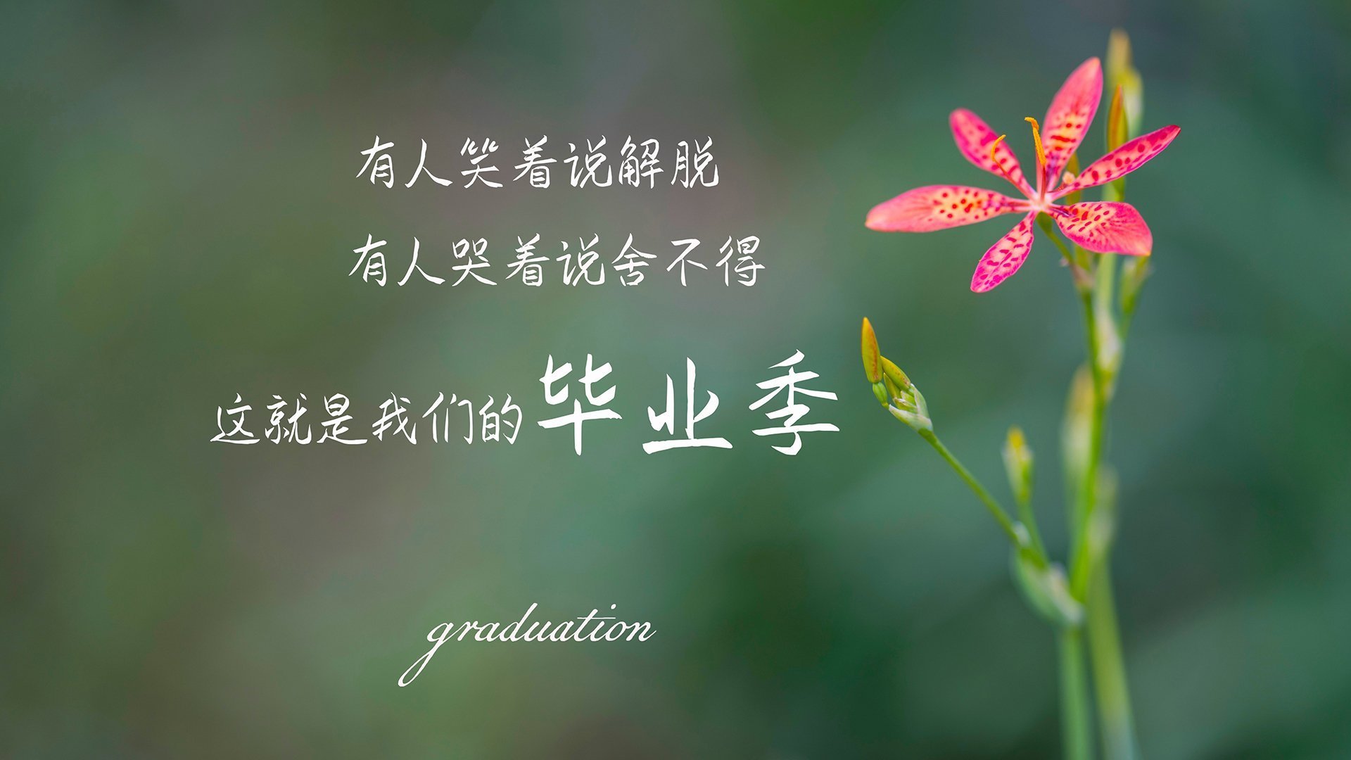 开云网站-蓝月亮客场平伯恩茅斯，防守稳固