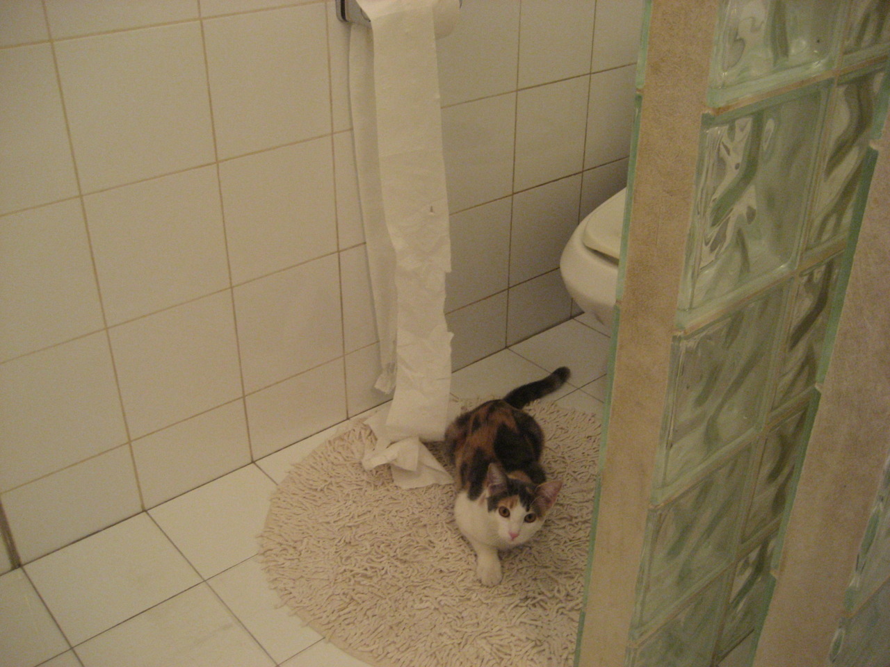 开云平台-NBA赛季关键球员表现对比，nba本赛季数据最好的球员排名