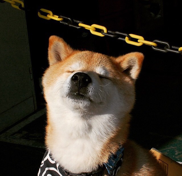 开云体育-世俱杯精彩片段：镌刻足球史上的难忘瞬间，世俱杯简介