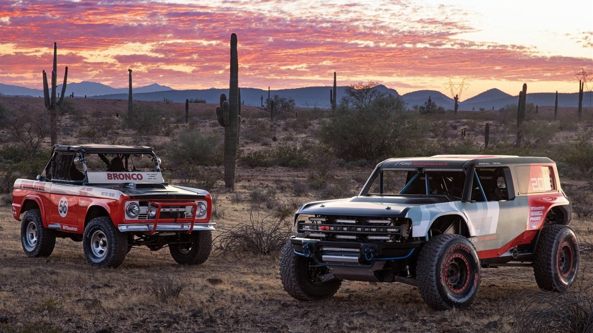 中国篮球青训体系人才培养现状与未来趋势，中国国家篮球青训选拔