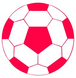 KAIYUN 中国大陆-体育类短视频内容对青少年运动行为的引导作用研究，体育短视频定义