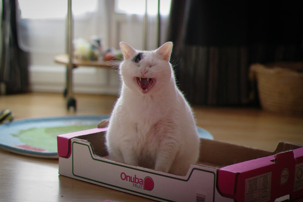 篮球专项体能训练恢复技术,篮球体能训练的基本要求