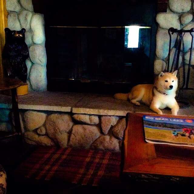 篮球青训教练员培养模式创新,篮球青训教练员培养模式创新方案