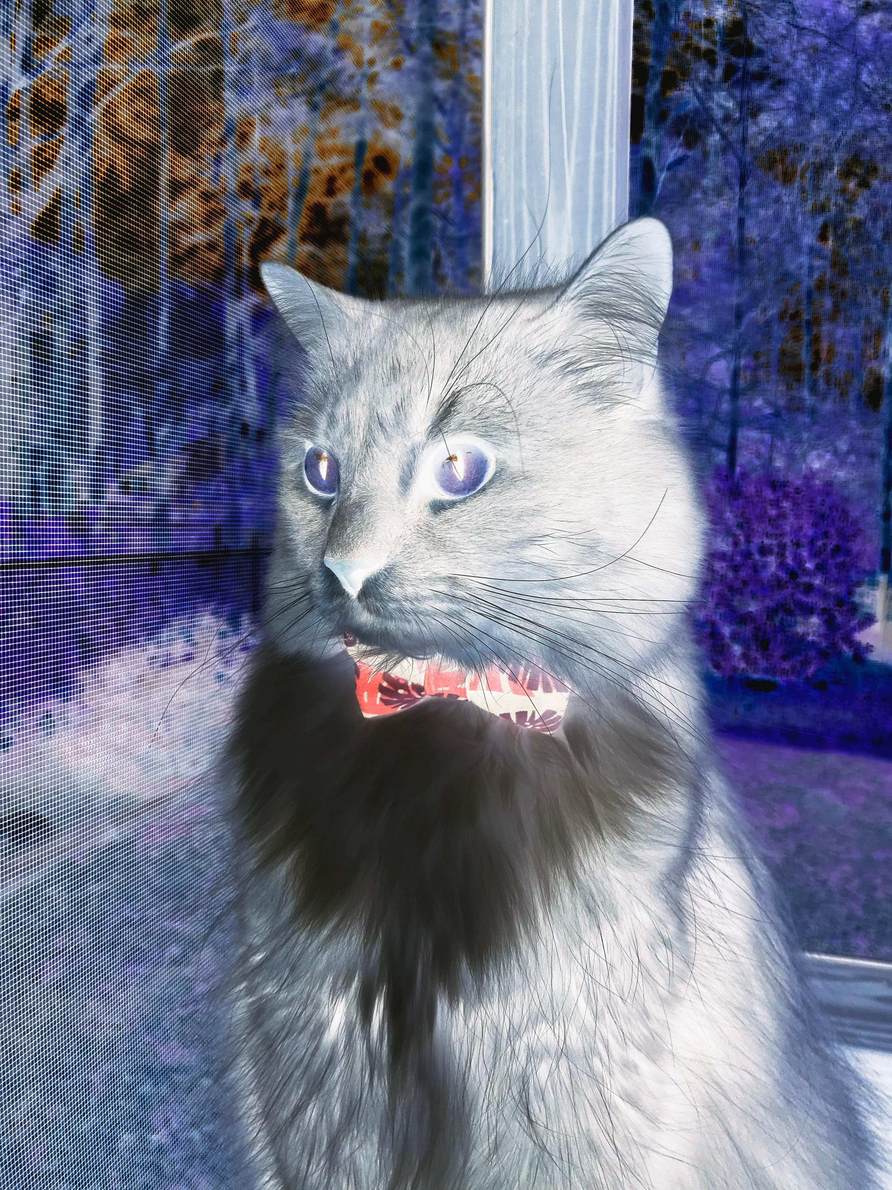 西甲教练组使用情绪调控技术降低关键战失误率，西甲主教练一览