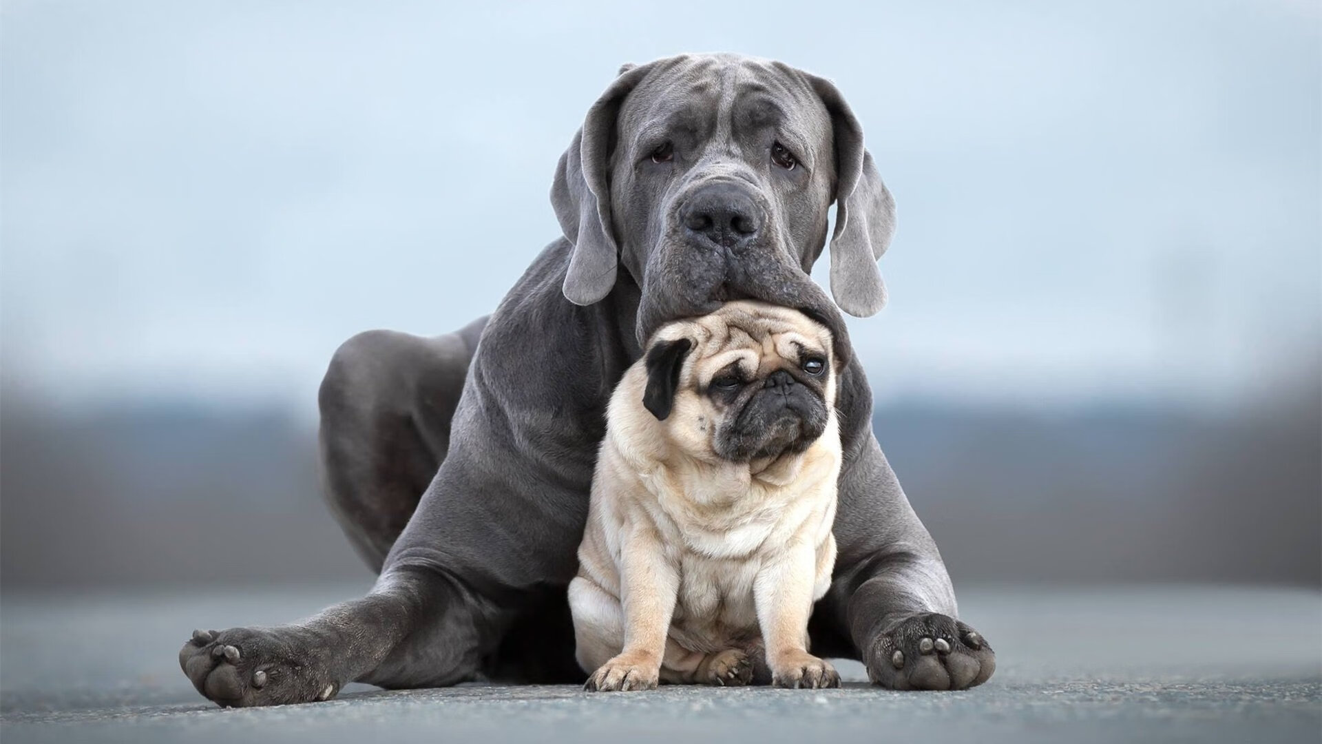 开云入口-中国男篮传球精准度提高，中国男篮传球精准度提高方法