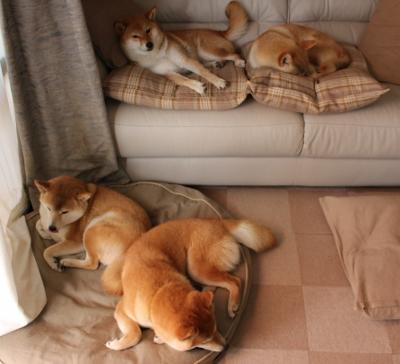 埃弗顿改变阵型提升后防稳定性，埃弗顿换帅