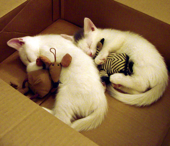 基层足球宣传力度明显不足，基层足球宣传力度明显不足怎么办