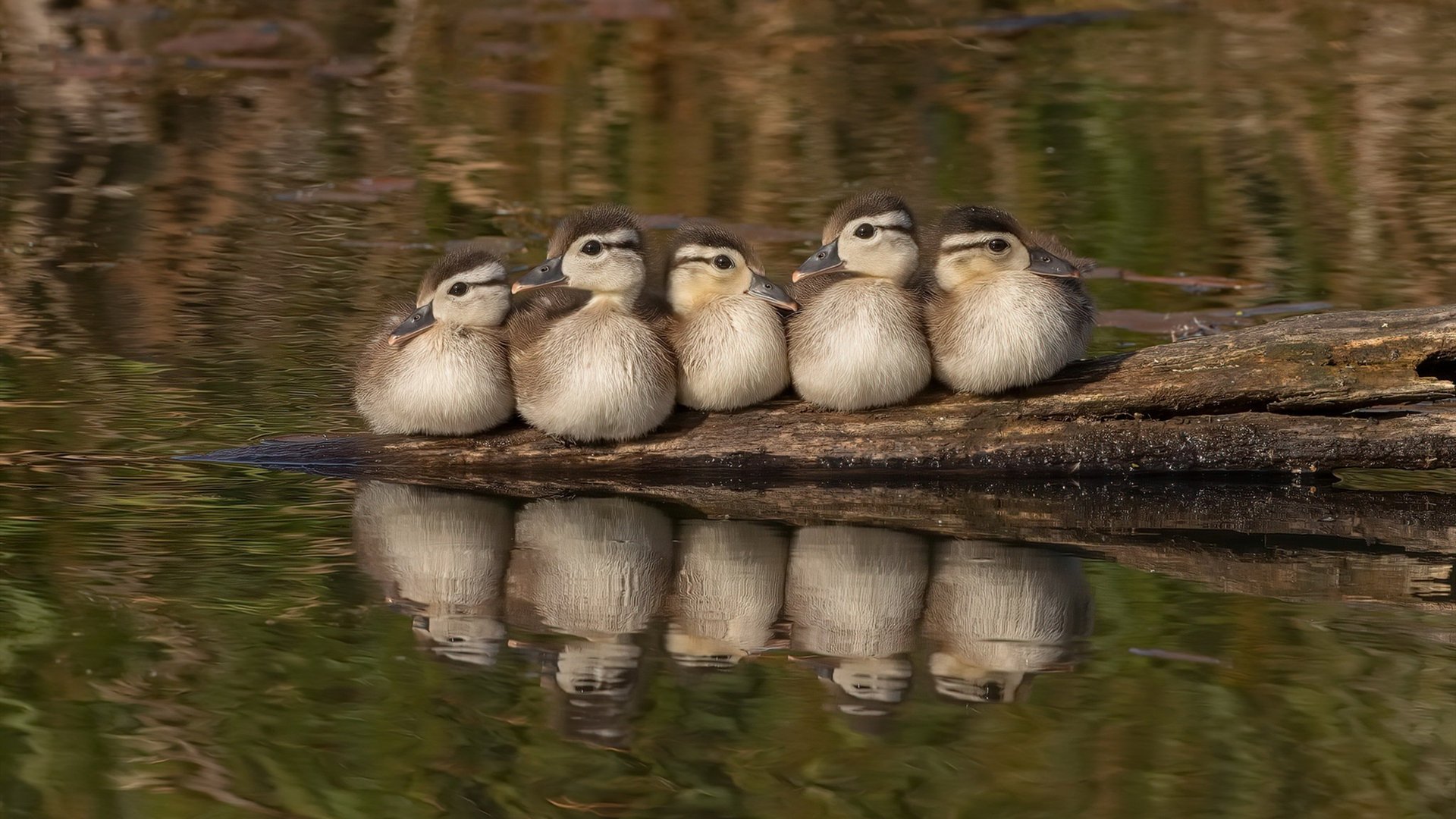 中国足球青训课程注重场上决策能力提升，中国足球青训学校有哪些