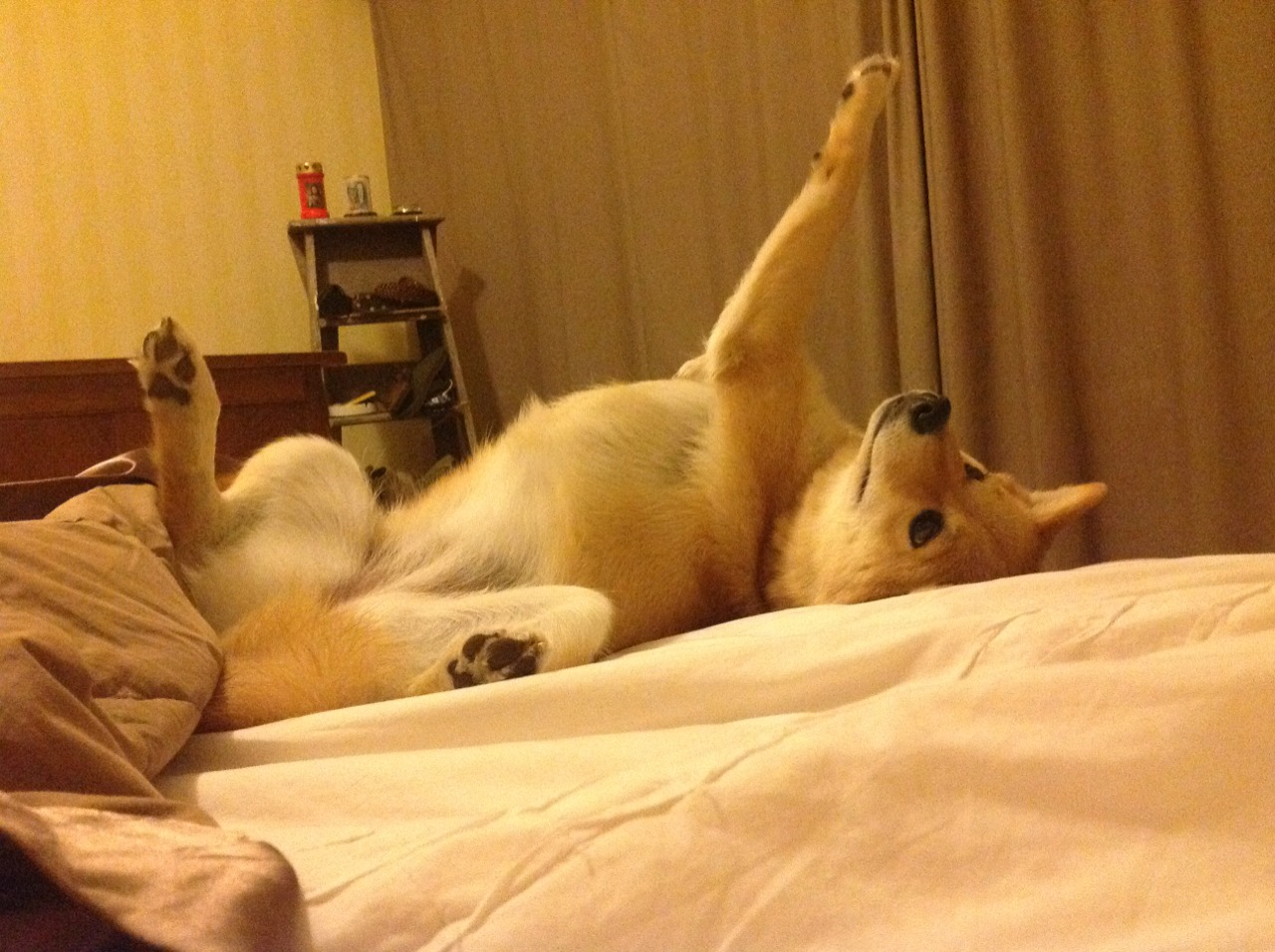 开云平台-塞尔·拉恩：全黑队外线的“闪电翼锋”，让对手防线陷入困境