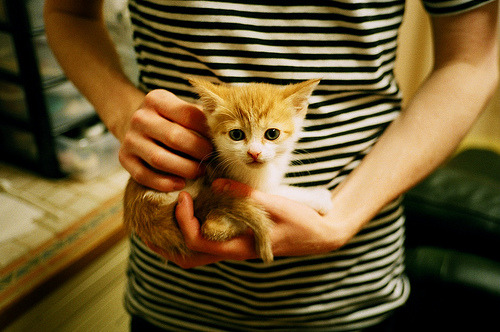 塞尔·拉恩：全黑队外线的“闪电翼锋”，让对手防线陷入困境