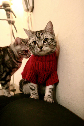 女篮青年队设置技能专项日提升攻防专注度，女篮球队训练计划