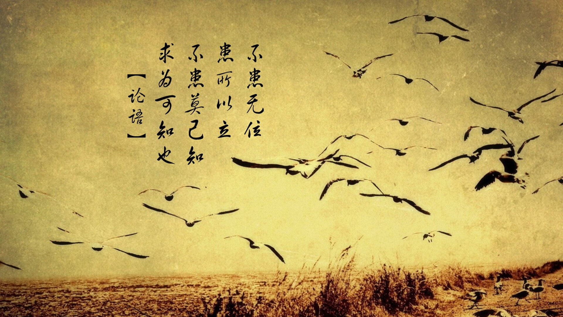 技术细节提升带动整体队伍表现提升,如何提高技术团队的工作效率