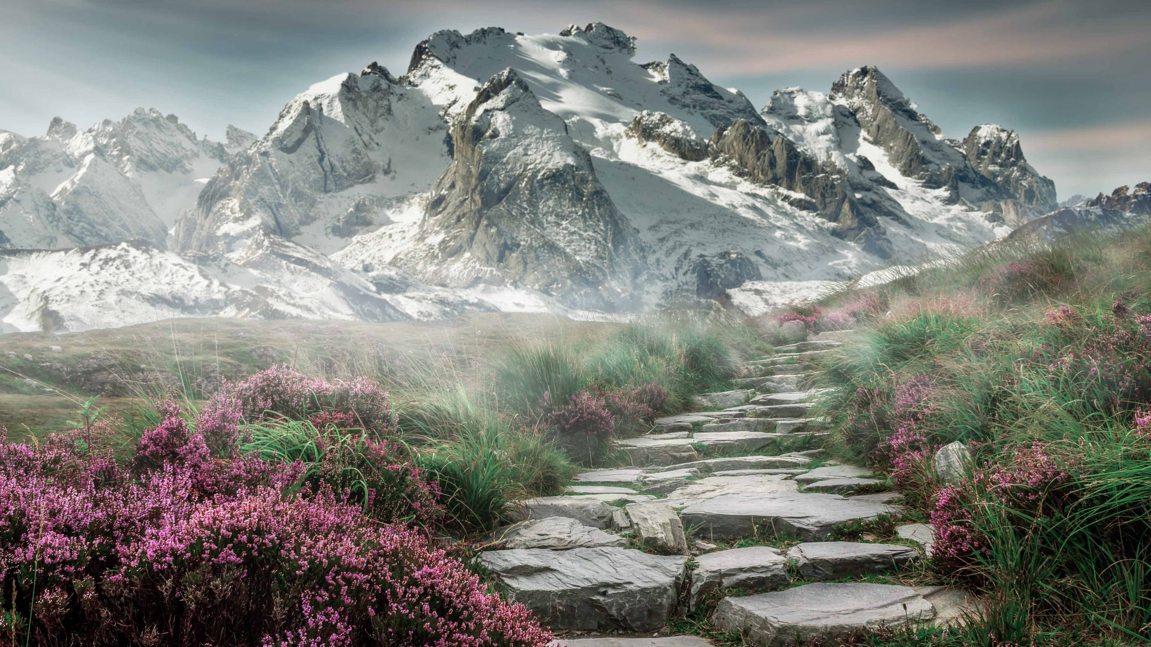 新闻中心官方通告休赛期转会窗口开放时间,转会公告