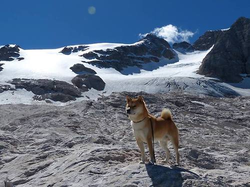 法甲的粉丝经济与市场开发