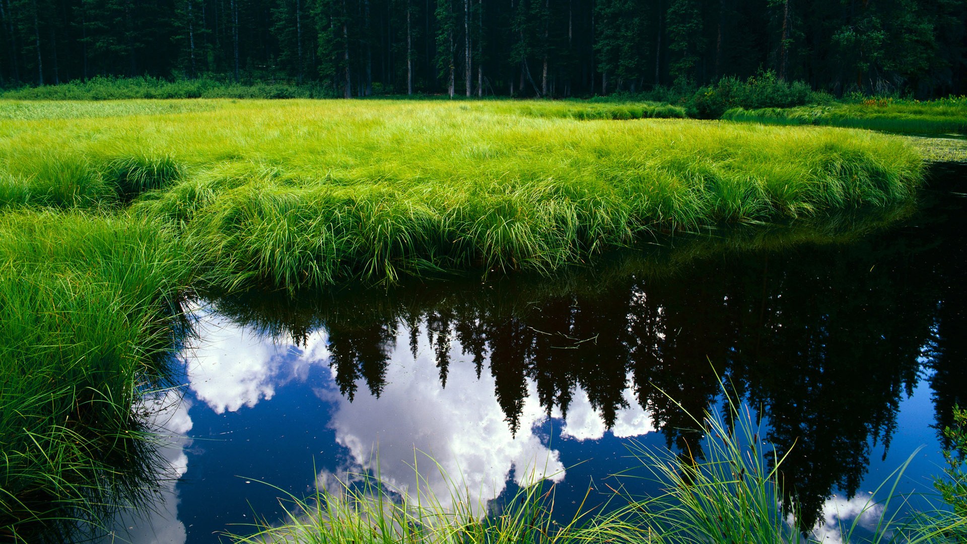 开云网站-科里·简：凭借出色的配合与对抗力，在全黑队进攻中如鱼得水，科里纳简介