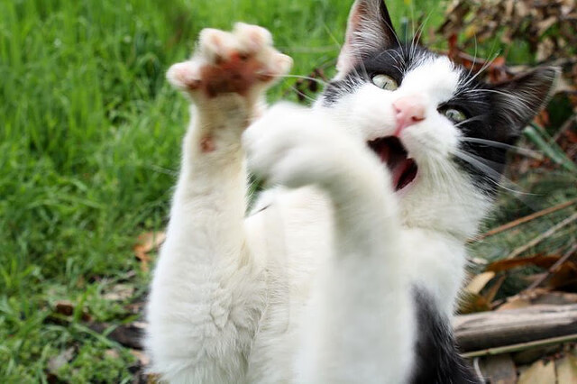 开云官方-马术学校招生人数逐年增长趋势明显，马术招生简章